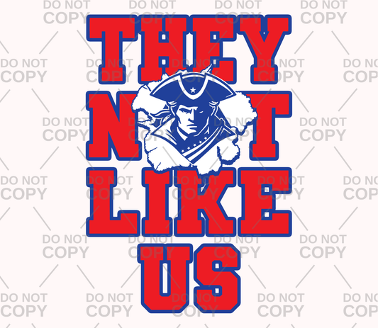 NE Patriots They Not Like Us DTF Transfer