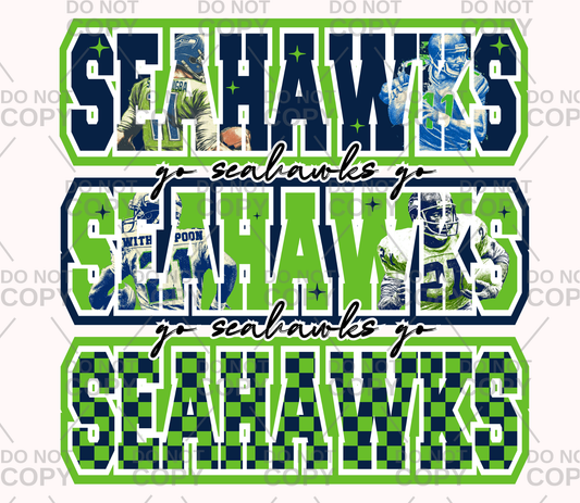 Go Seahawks Go DTF Transfer